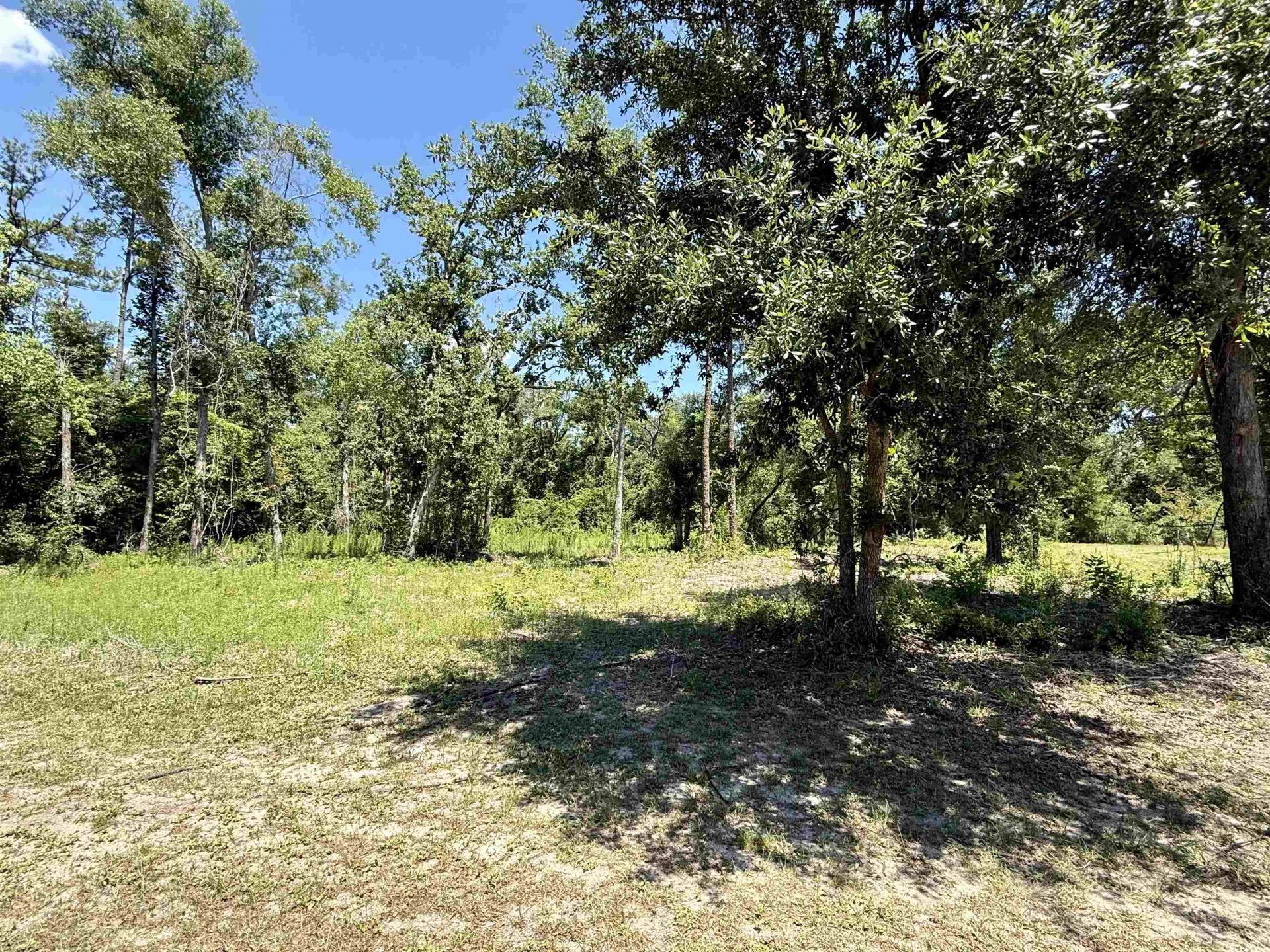 Vacant Wildwood Circle , Live Oak, FL 32064 Photo