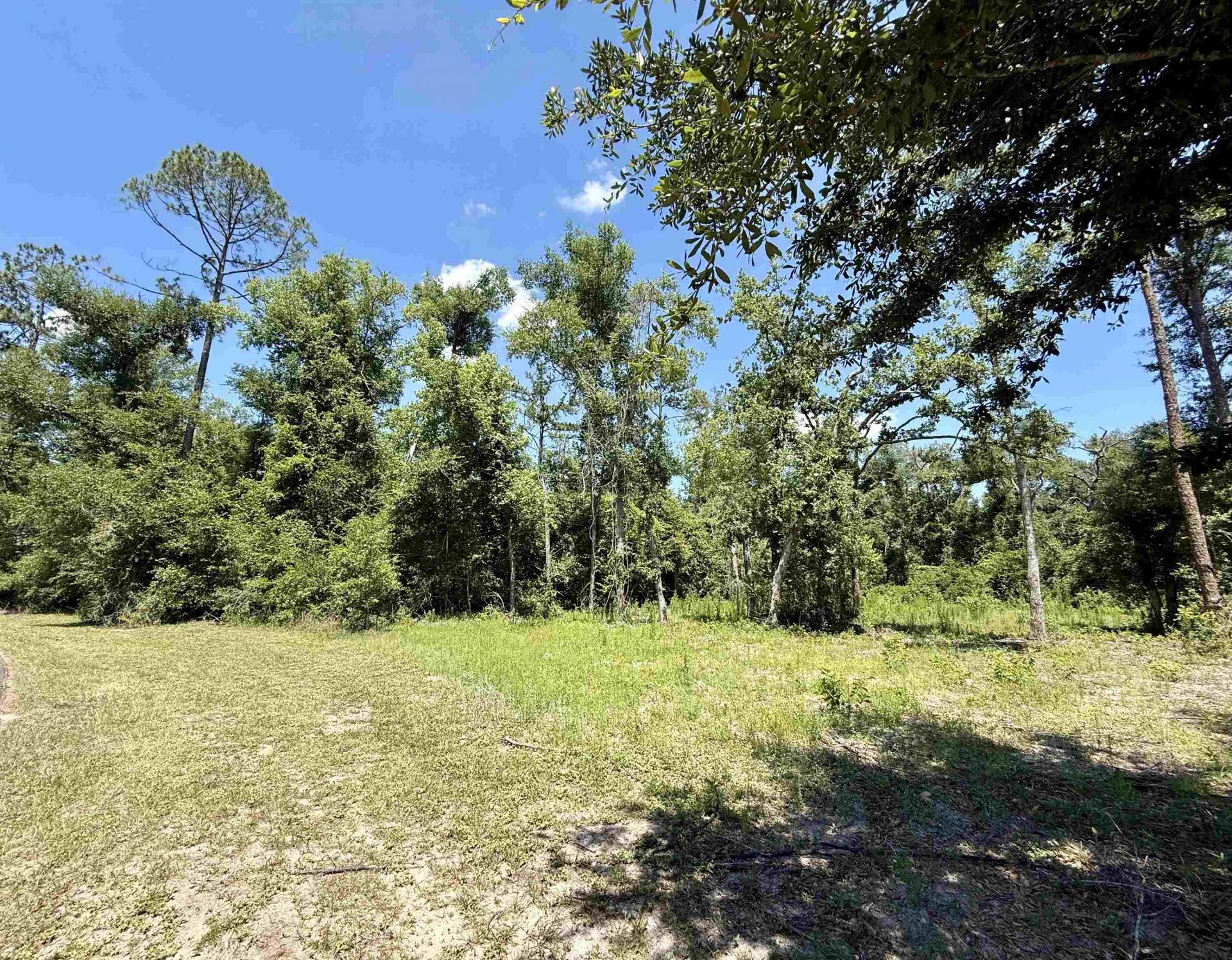 Vacant Wildwood Circle , Live Oak, FL 32064 Photo