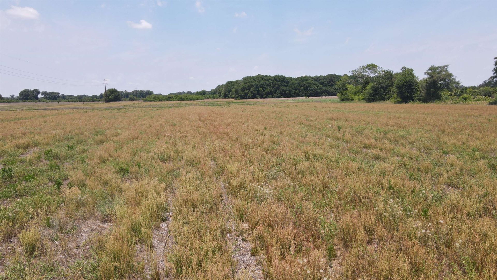 25.10 Acres - Society Hill Rd  Photo 11
