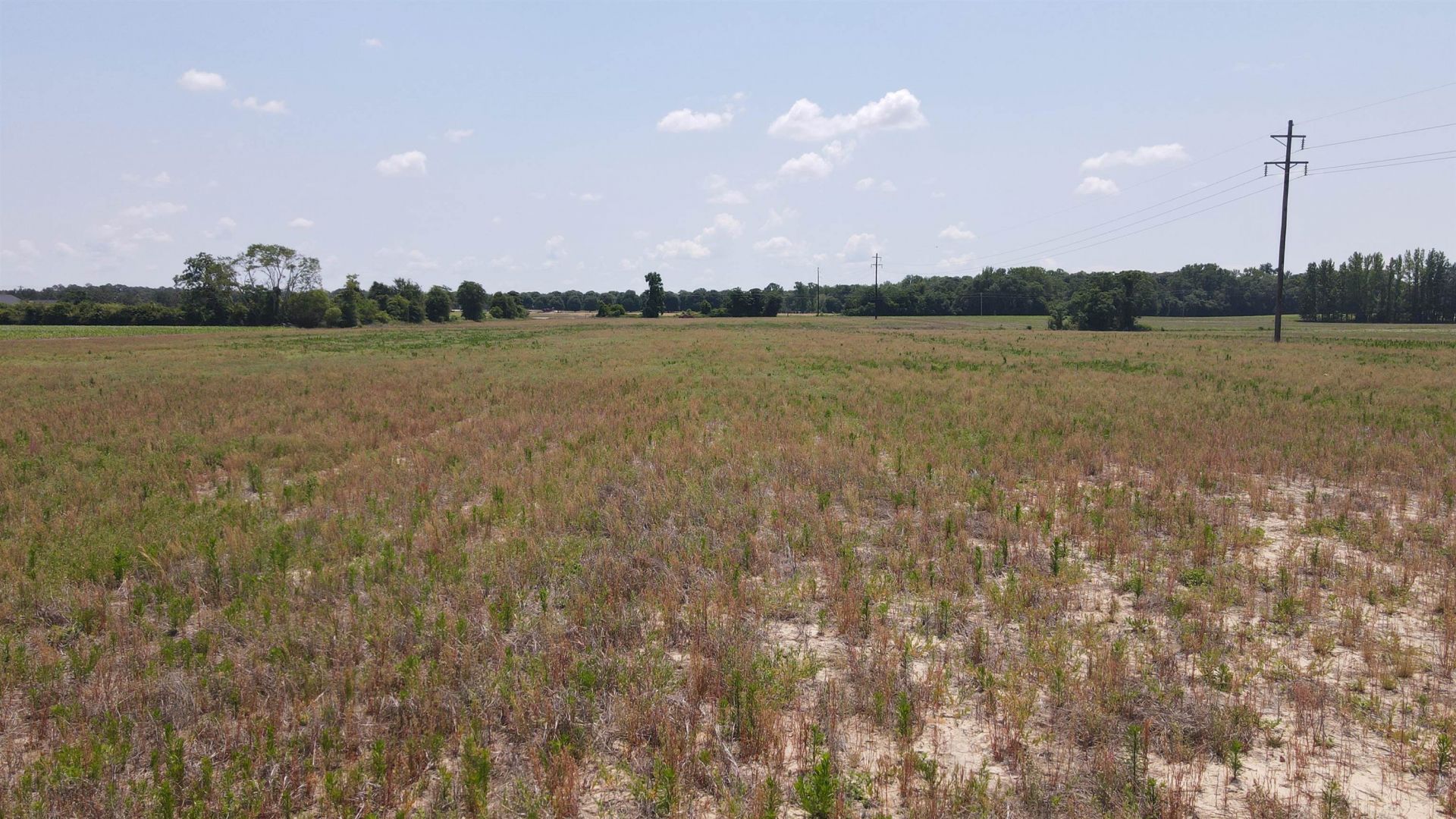 25.10 Acres - Society Hill Rd  Photo 12