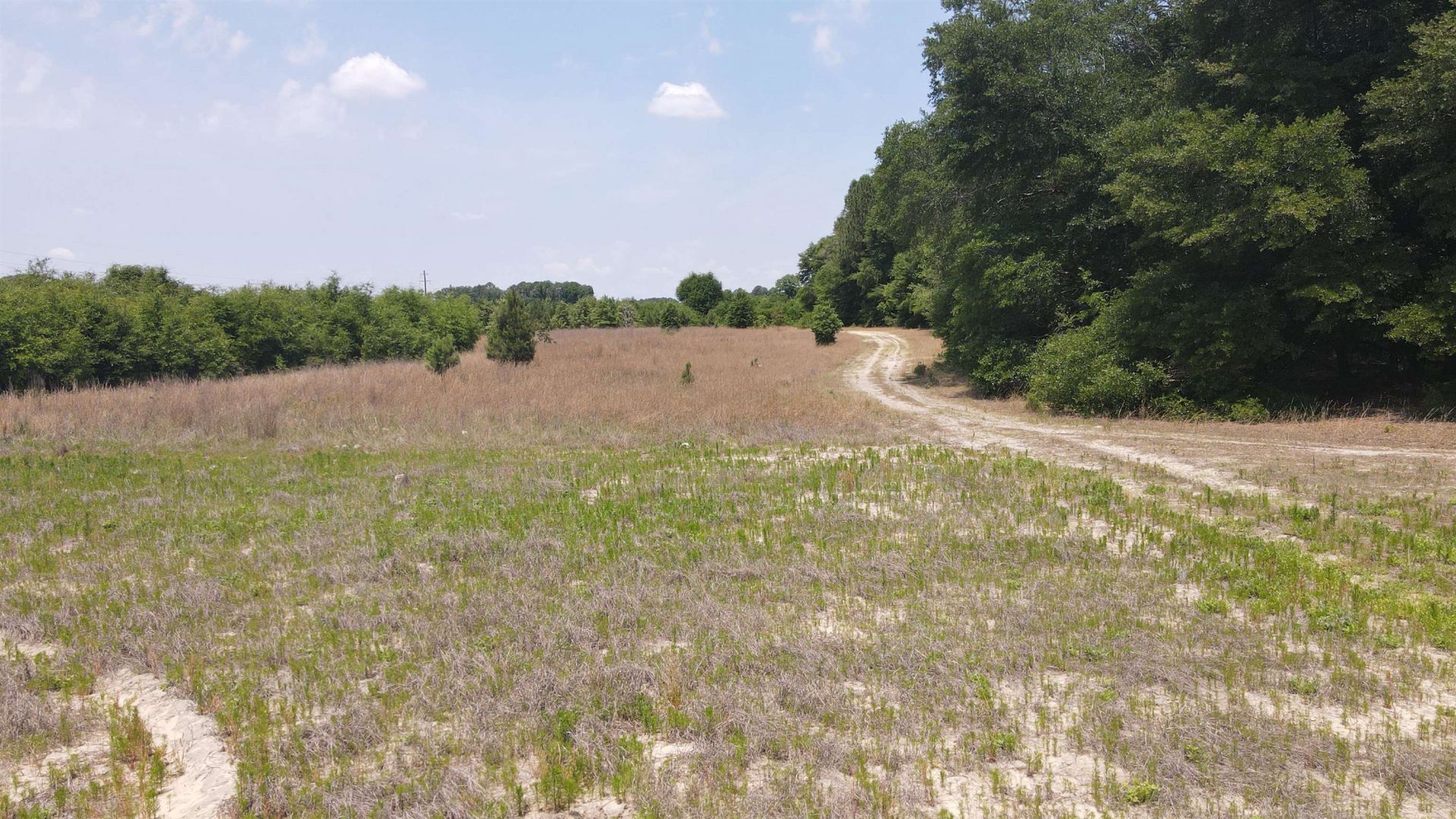 25.10 Acres - Society Hill Rd  Photo 13