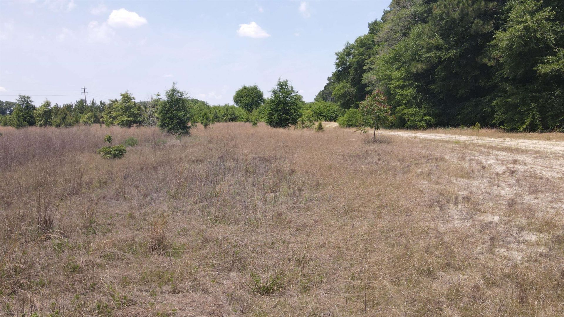 25.10 Acres - Society Hill Rd  Photo 14