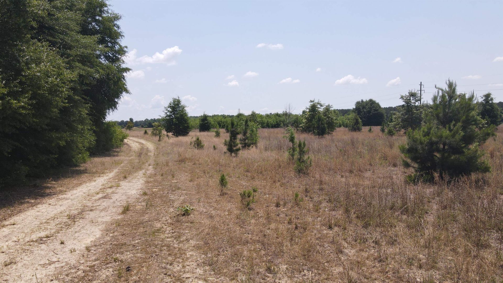 25.10 Acres - Society Hill Rd  Photo 15