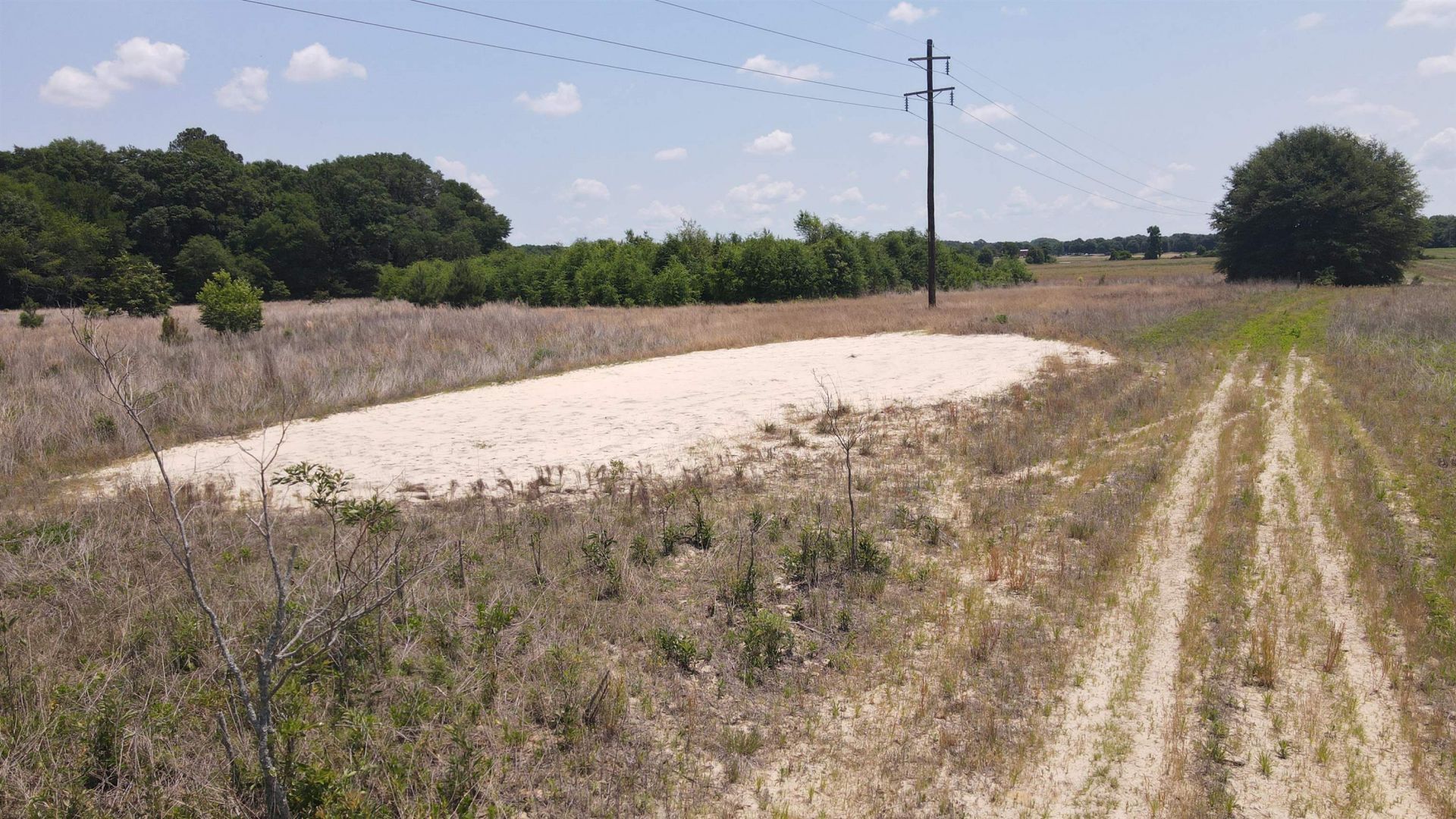 25.10 Acres - Society Hill Rd  Photo 16