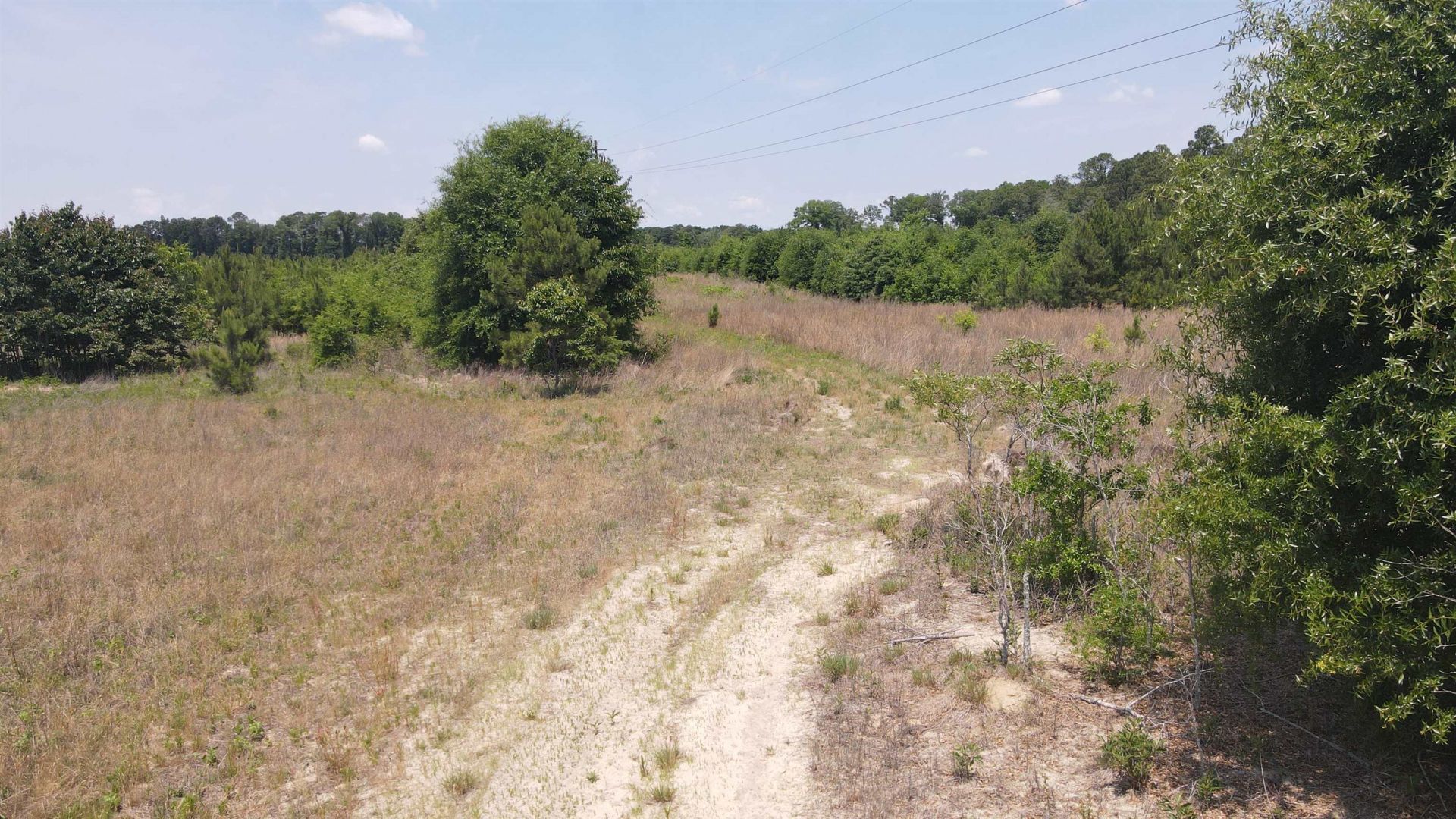 25.10 Acres - Society Hill Rd  Photo 17