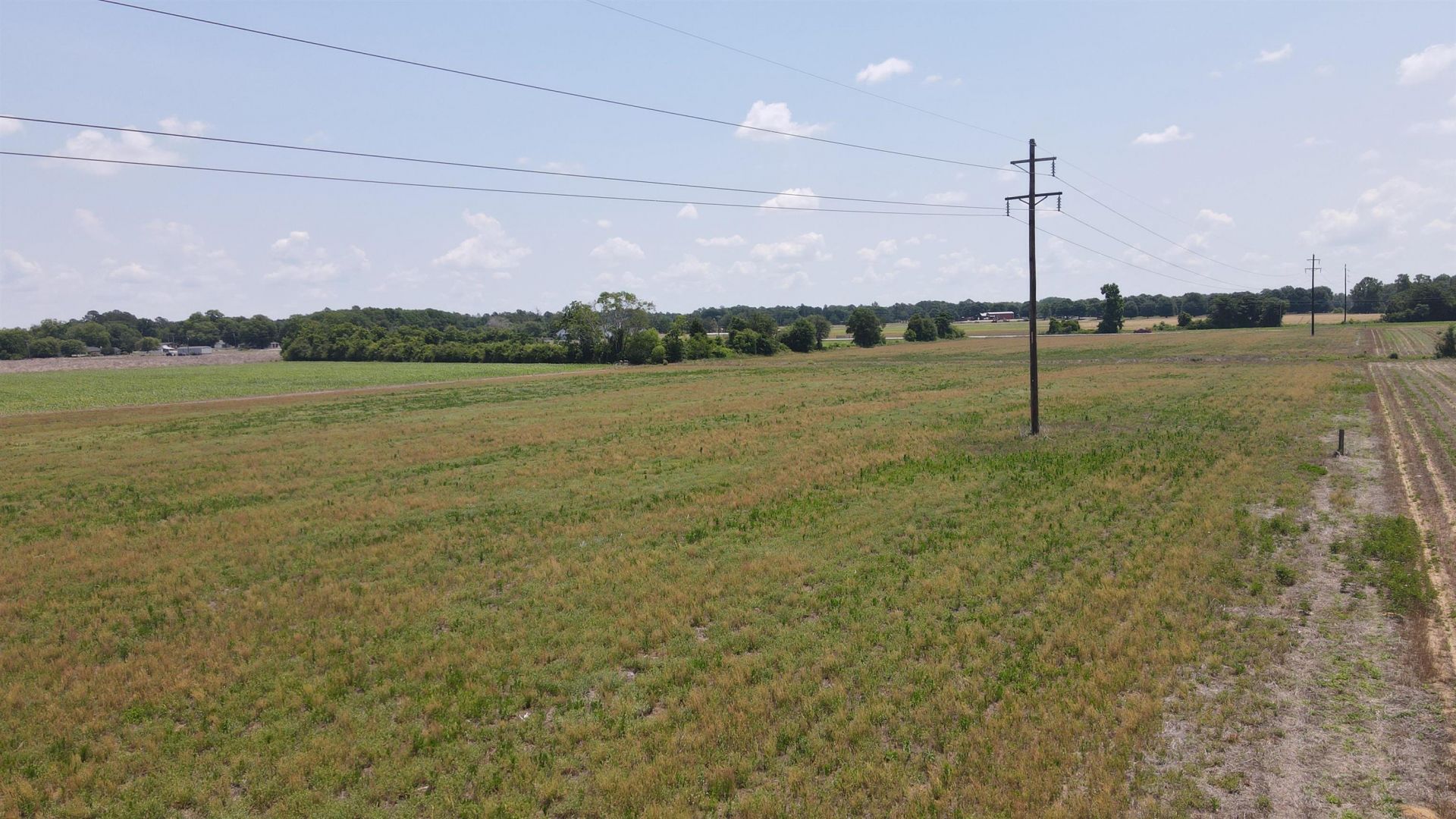 25.10 Acres - Society Hill Rd  Photo 18