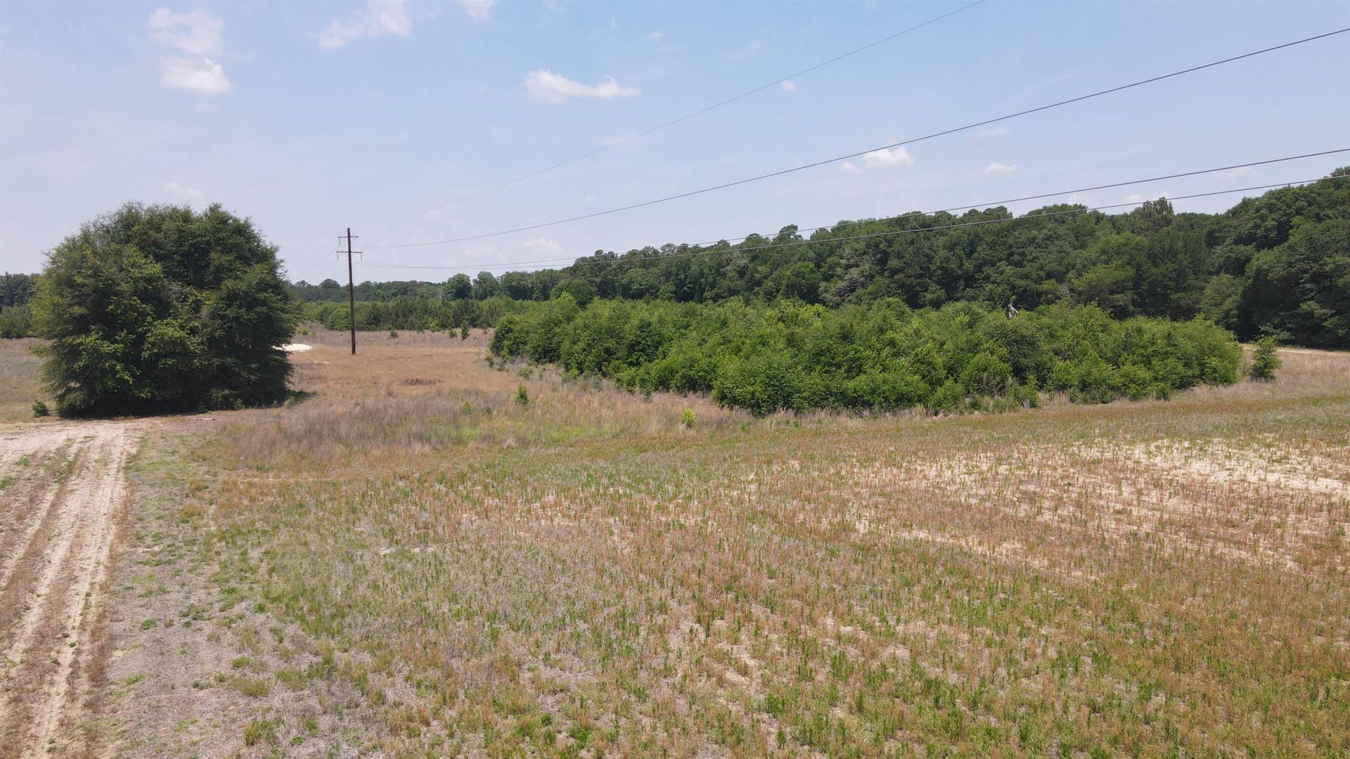 25.10 Acres - Society Hill Rd  Photo 19