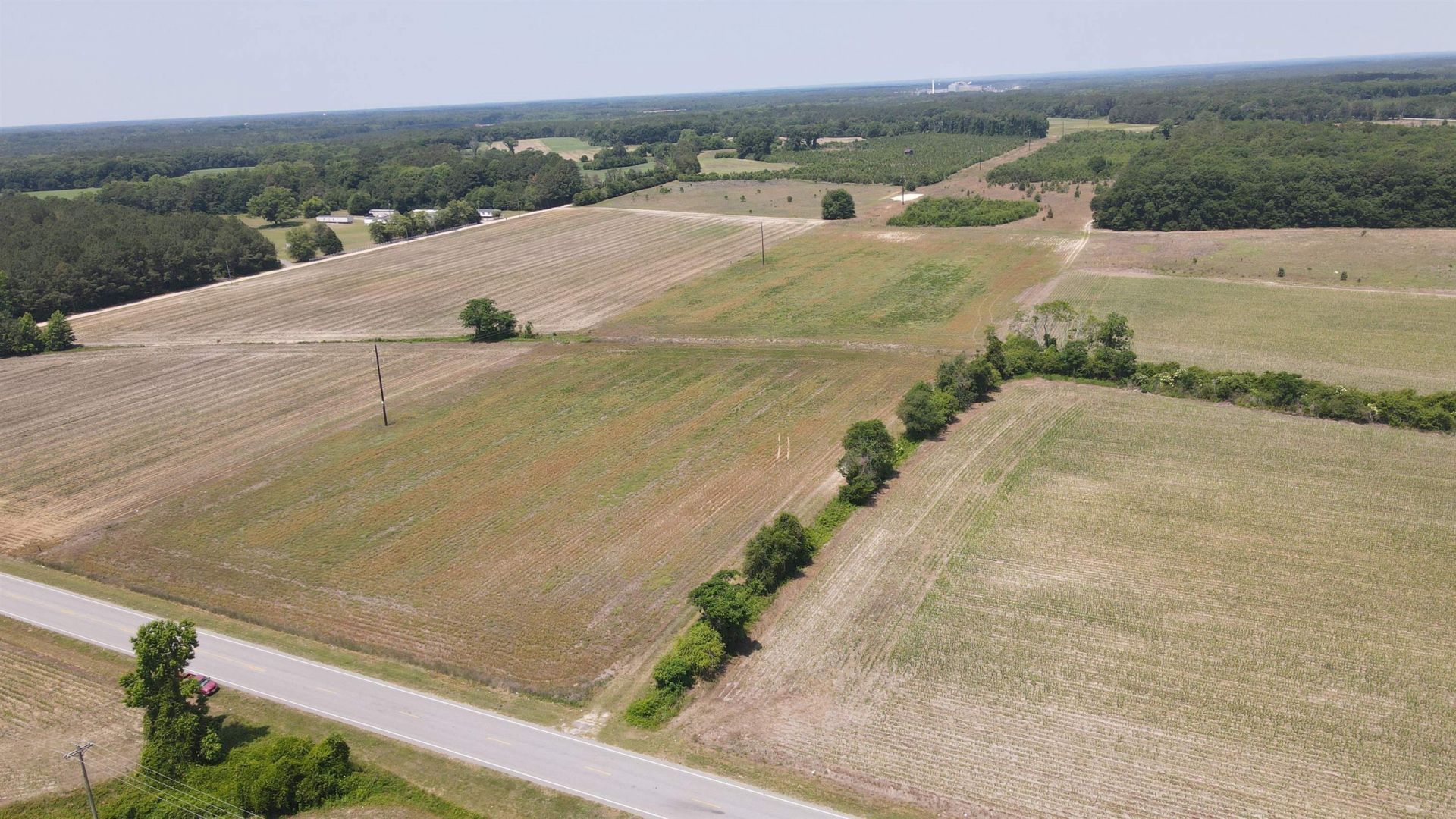 25.10 Acres - Society Hill Rd  Photo 4
