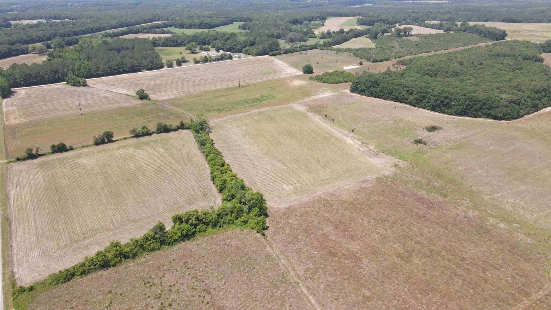 25.10 Acres - Society Hill Rd  Photo 5