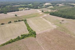 25.10 Acres - Society Hill Rd  photo 4