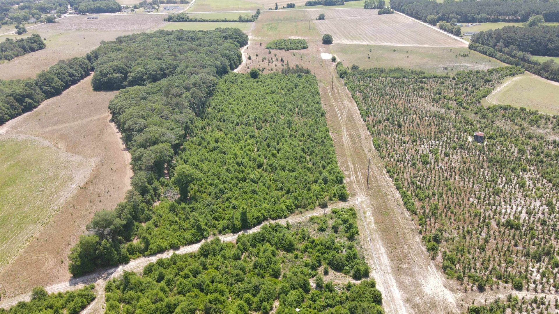 25.10 Acres - Society Hill Rd  Photo 6