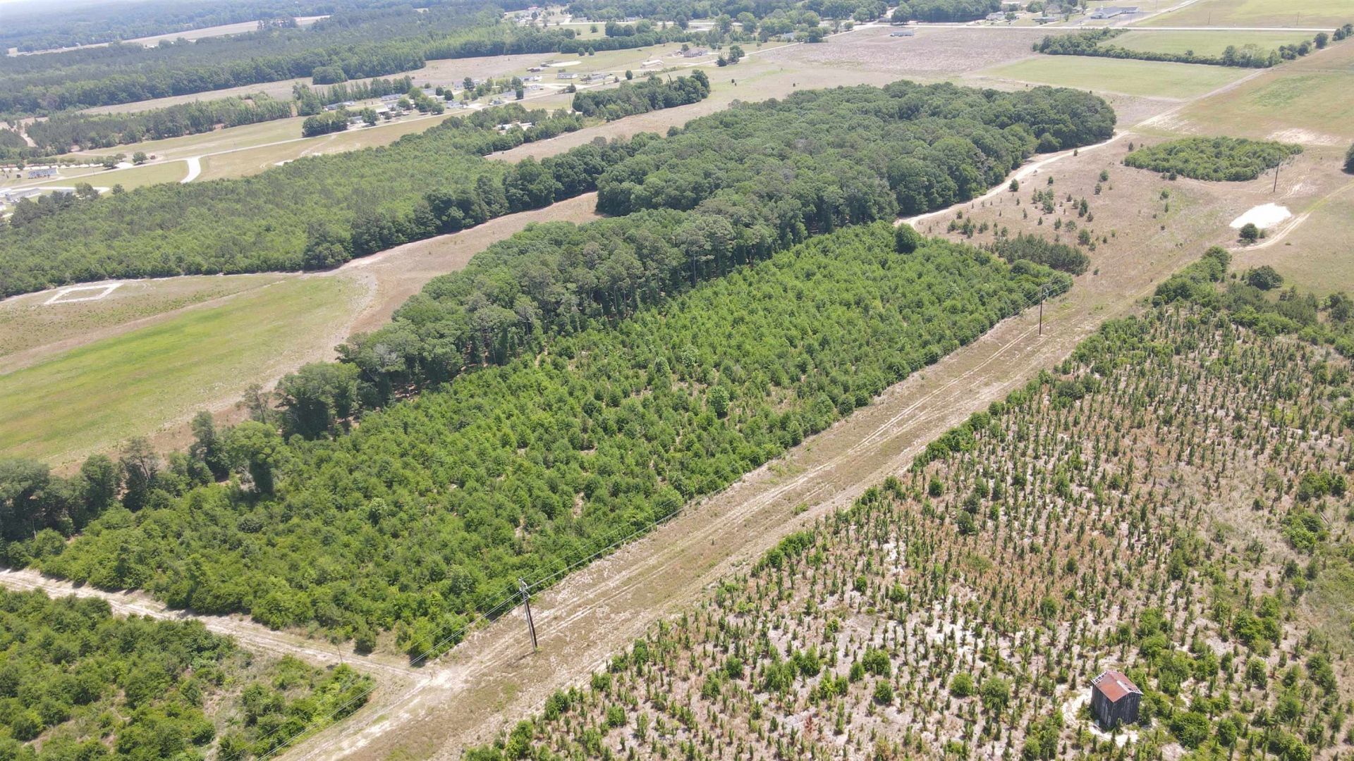 25.10 Acres - Society Hill Rd  Photo 7