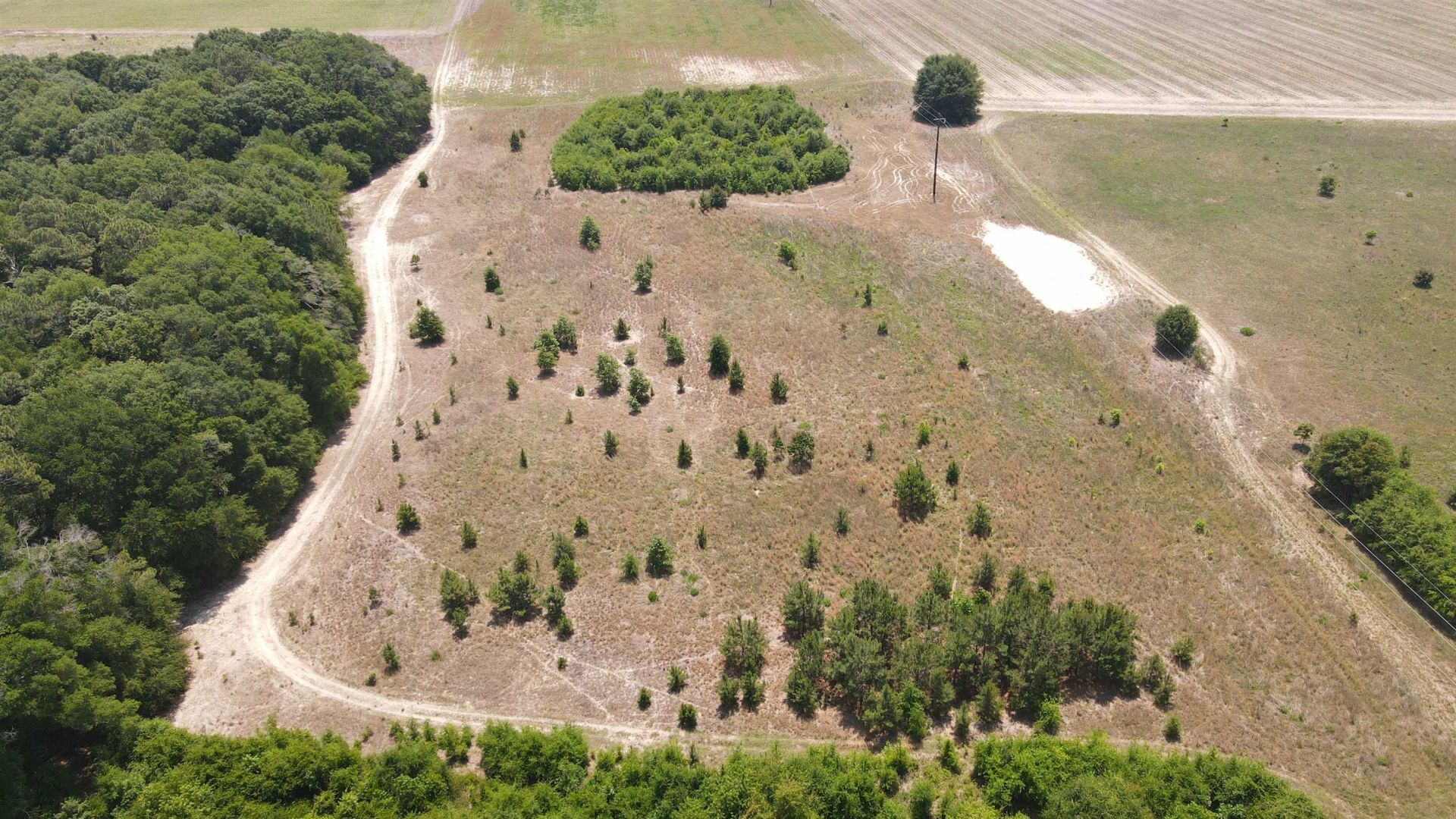 25.10 Acres - Society Hill Rd  Photo 9