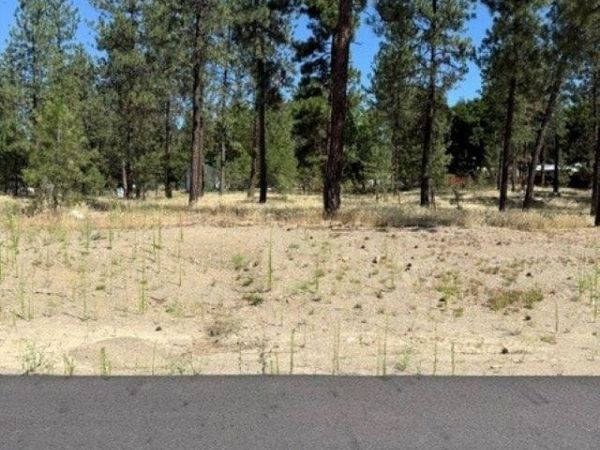 Lot 13 Long Lake Estates Est, Nine Mile Falls, WA 99026