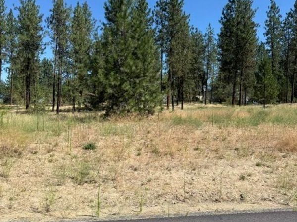 Lot 15 Long Lake Estates Est, Nine Mile Falls, WA 99026