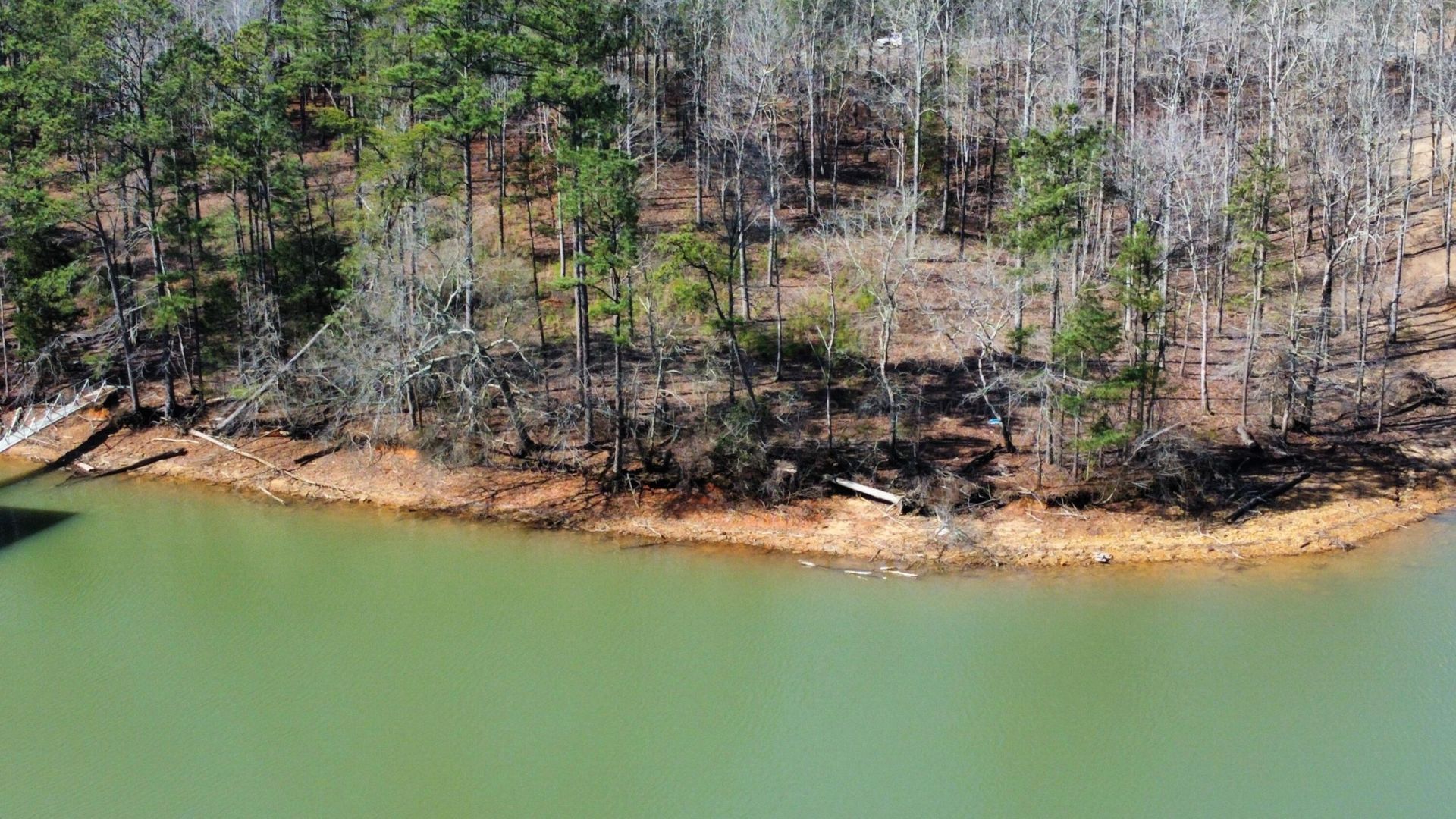 Lot 27 Shoreside At Sipsey, Double Springs, AL 35553 Main Photo