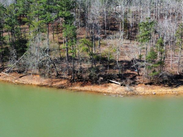 LOT 27 SHORESIDE AT SIPSEY, Double Springs, AL 35553