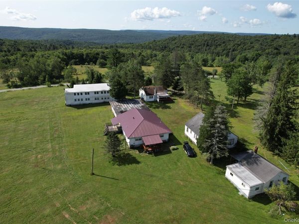 40 Spartan Hill Road, Livingston Manor, NY 12758
