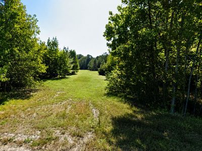 0 Bethel Cemetery Road, Reevesville, SC 29471