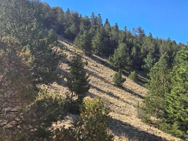 0 County Road 41g, Center, CO 81125