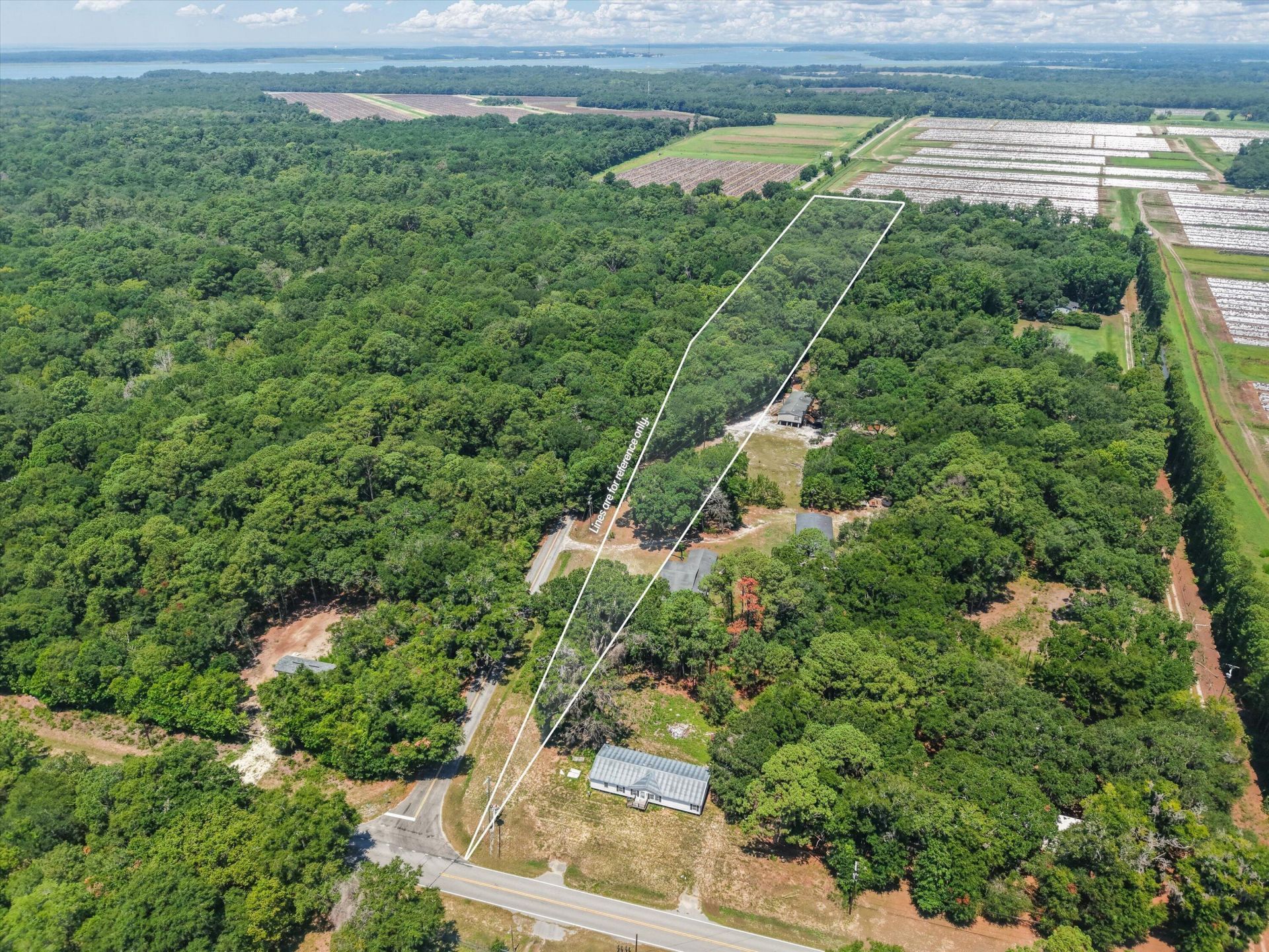 161 Carolina Photo 4