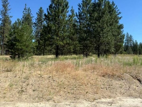Lot 16 Long Lake Estates Est, Nine Mile Falls, WA 99026