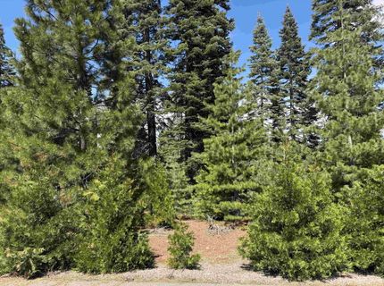 186 Snowy Peak Way, Lake Almanor, CA 96137 Photo
