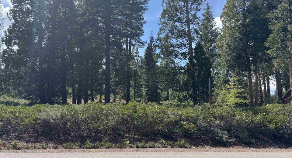 292 Dinsmore Drive, Lake Almanor, CA 96137 Photo