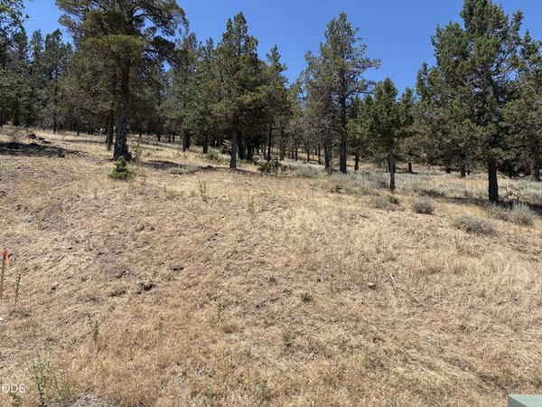 0 Murrelet Road, Unit Lot 1139, Klamath Falls, OR 97601