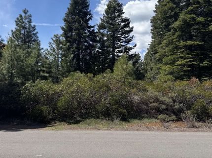 373 Flint Way, Lake Almanor, CA 96137 Photo