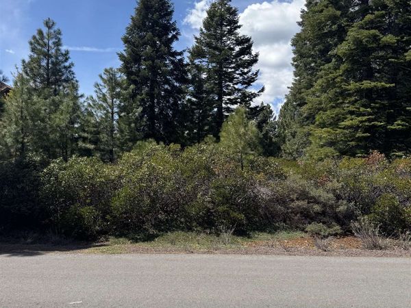 373 Flint Way, Lake Almanor, CA 96137