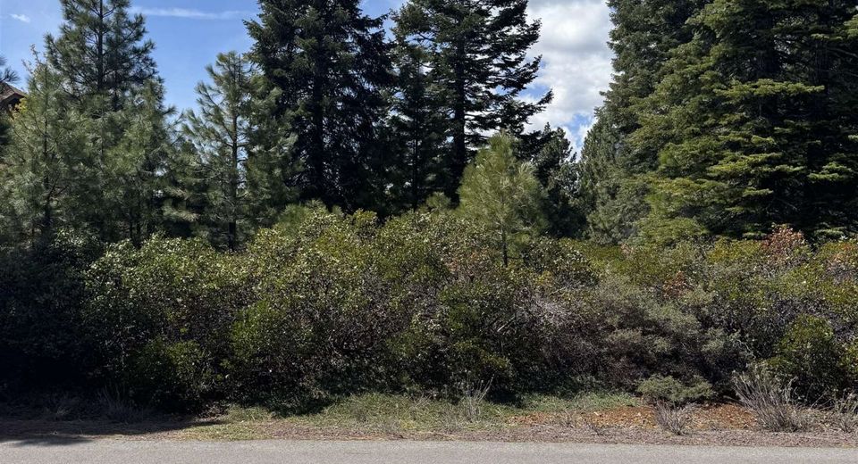 373 Flint Way, Lake Almanor, CA 96137 Photo