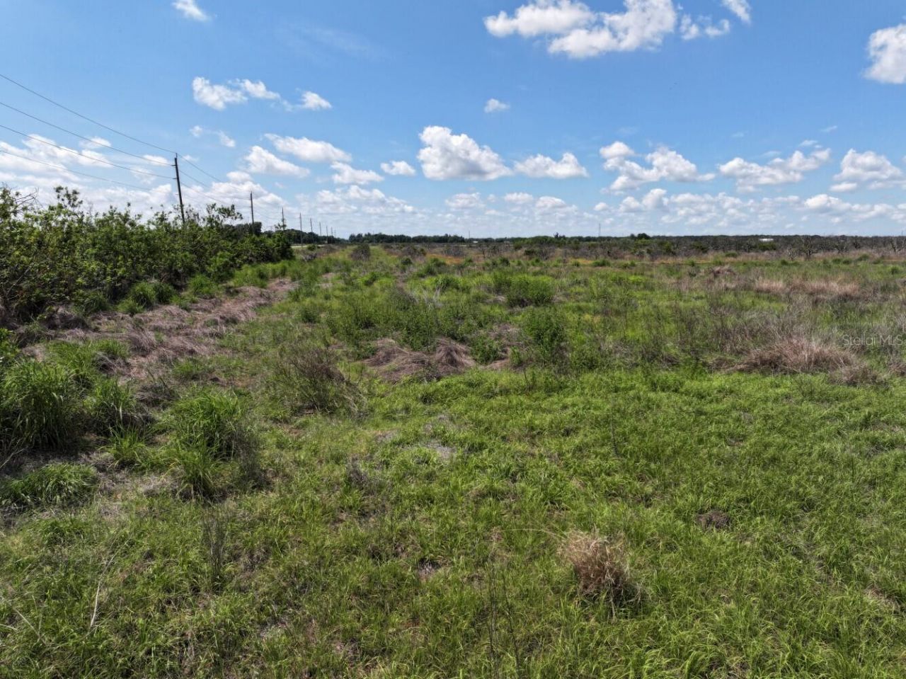 6691 SE County Road 763 , Arcadia, FL 34266 Photo