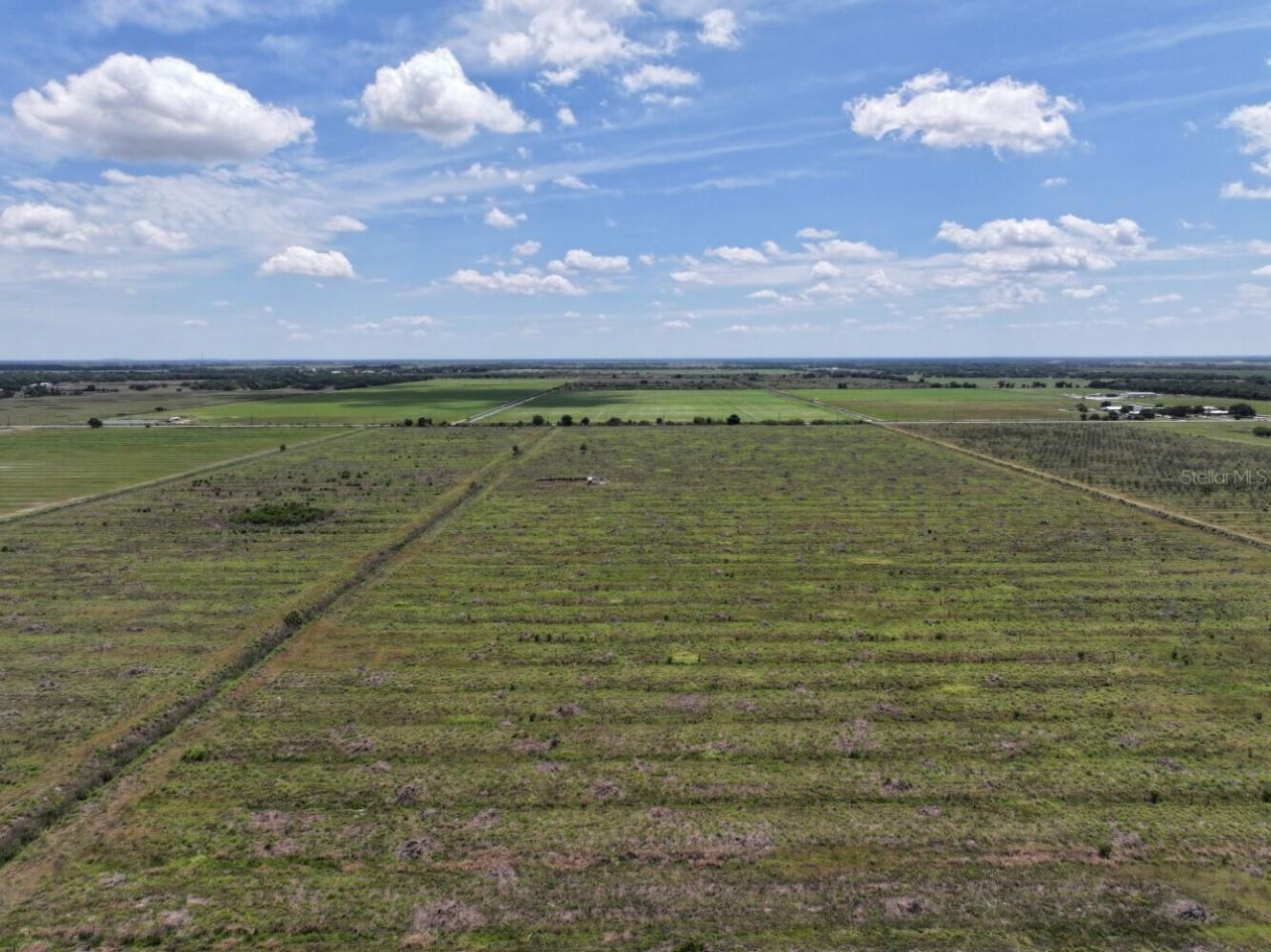 6691 SE County Road 763 , Arcadia, FL 34266 Photo