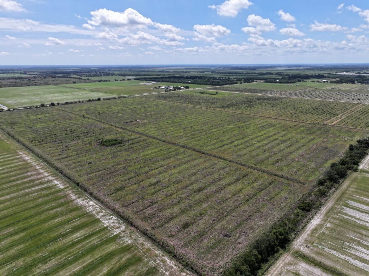 6691 SE County Road 763 , Arcadia, FL 34266 Photo