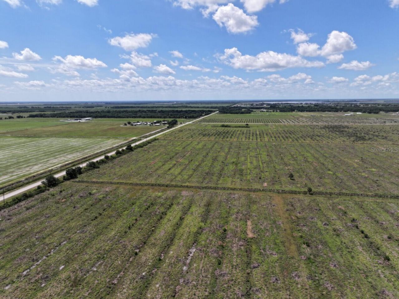 6691 SE County Road 763 , Arcadia, FL 34266 Photo