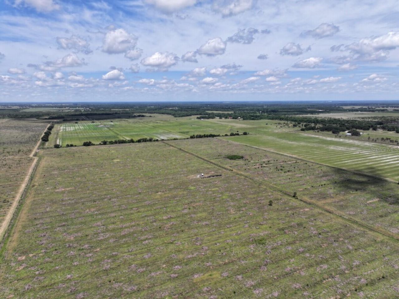 6691 SE County Road 763 , Arcadia, FL 34266 Photo