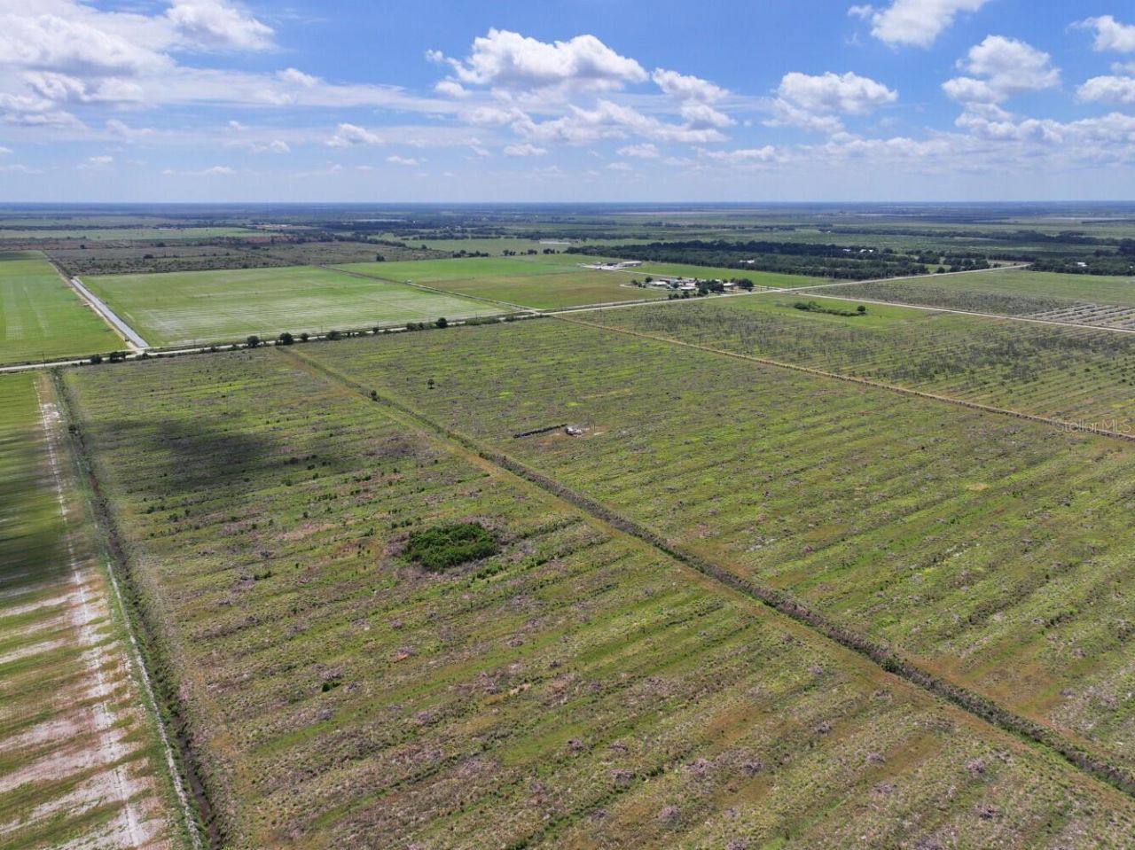6691 SE County Road 763 , Arcadia, FL 34266 Photo