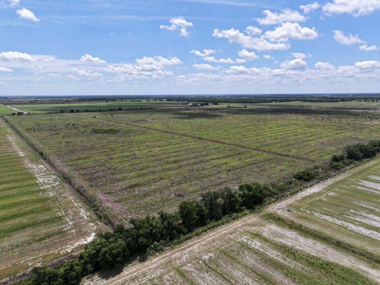 6691 SE County Road 763 , Arcadia, FL 34266 Photo