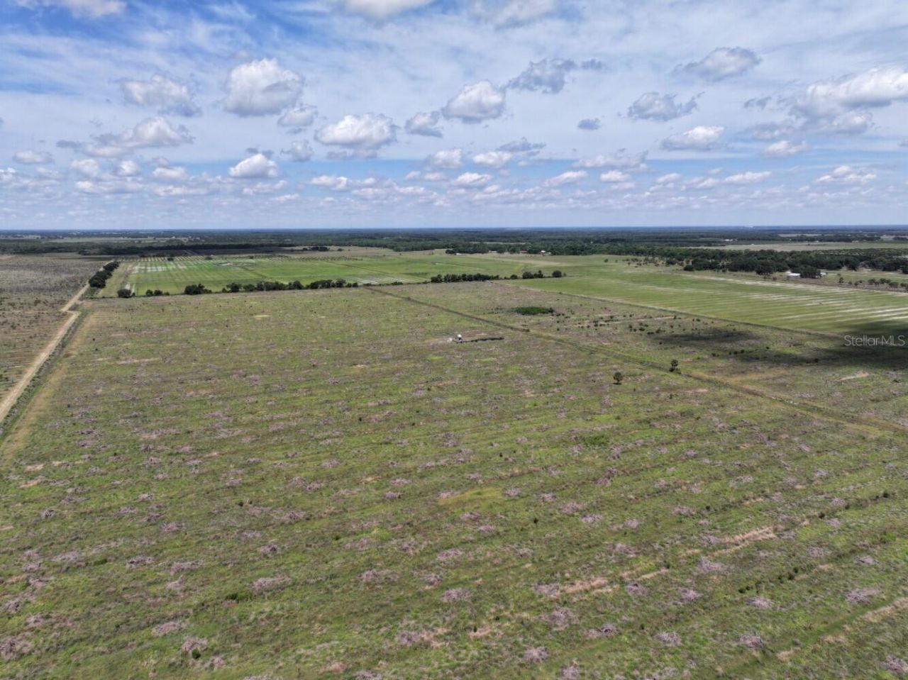 6691 SE County Road 763 , Arcadia, FL 34266 Photo