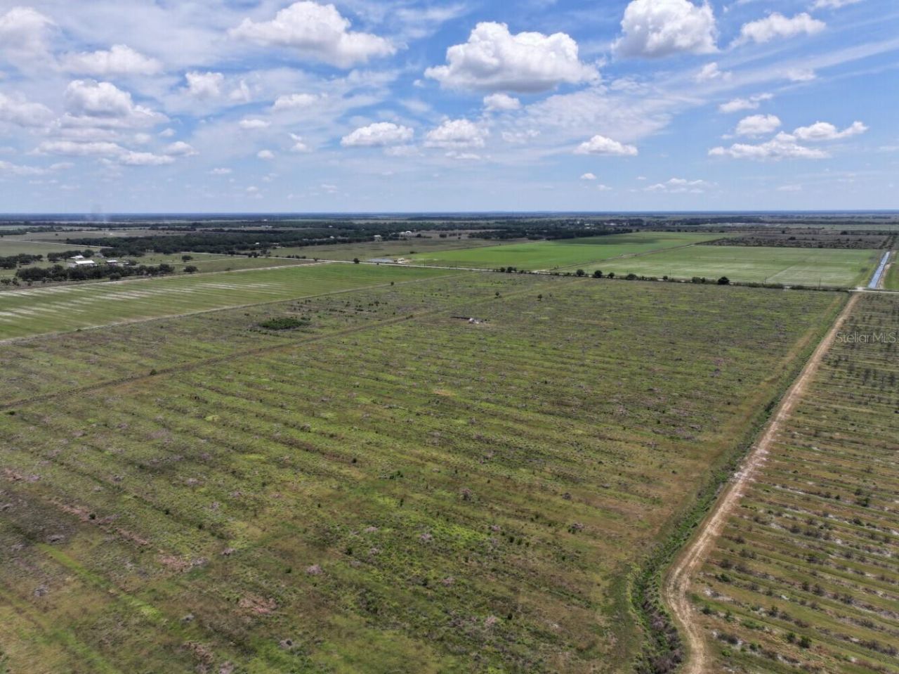 6691 SE County Road 763 , Arcadia, FL 34266 Photo