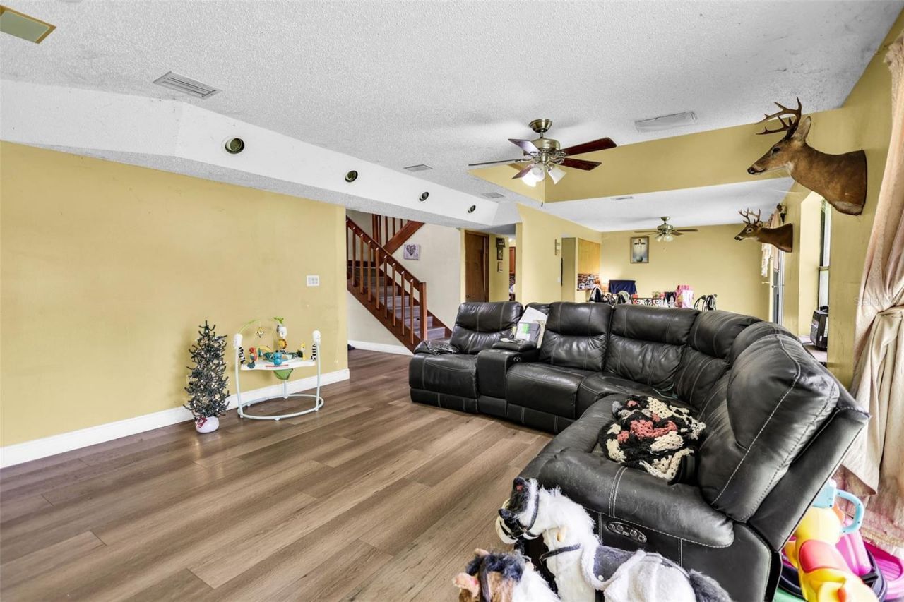 24003 Sisler Avenue, Christmas, FL 32709 Photo