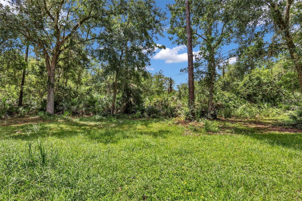 24003 Sisler Avenue, Christmas, FL 32709 Photo