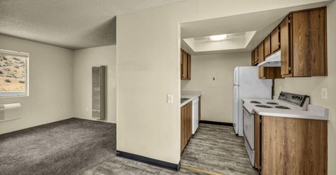 330 Talus Way, Reno, NV 89503 Photo