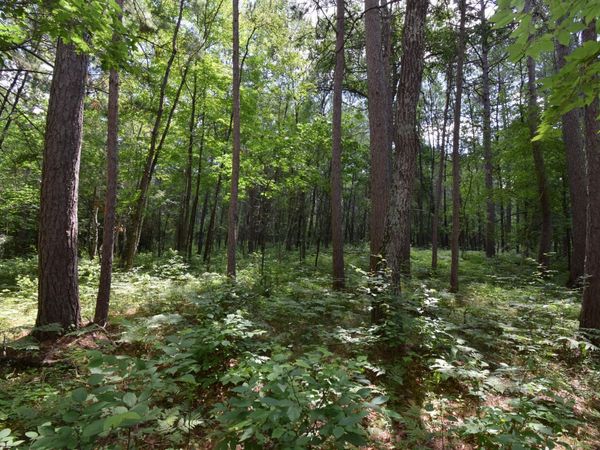 Lot 2 Saylors Lane , Siren, WI 54872