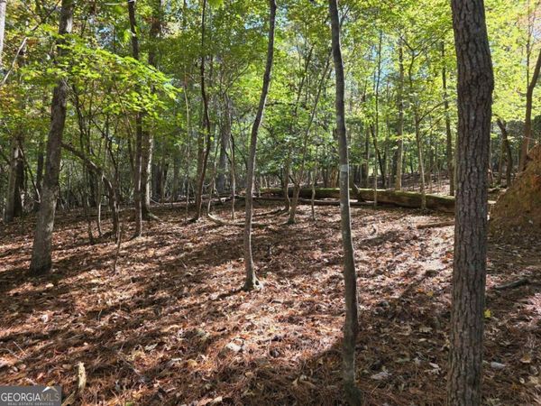 LOT #385 Zenith Trail, Unit 385, Ellijay, GA 30540