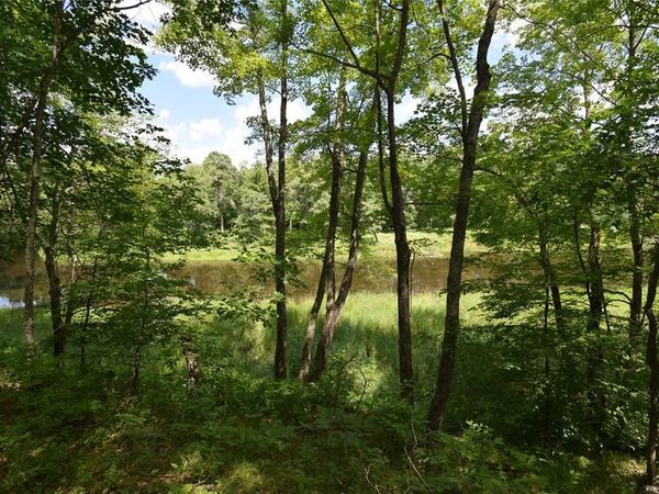 Lot 2 Saylors Lane, Siren, WI 54872