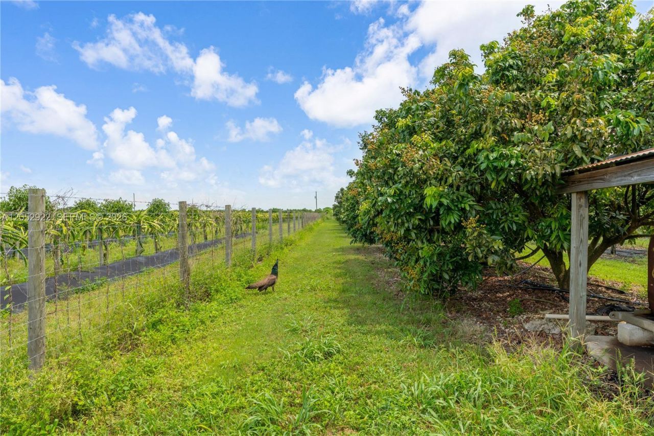 22401 SW 320th St, Homestead, FL 33030 Photo