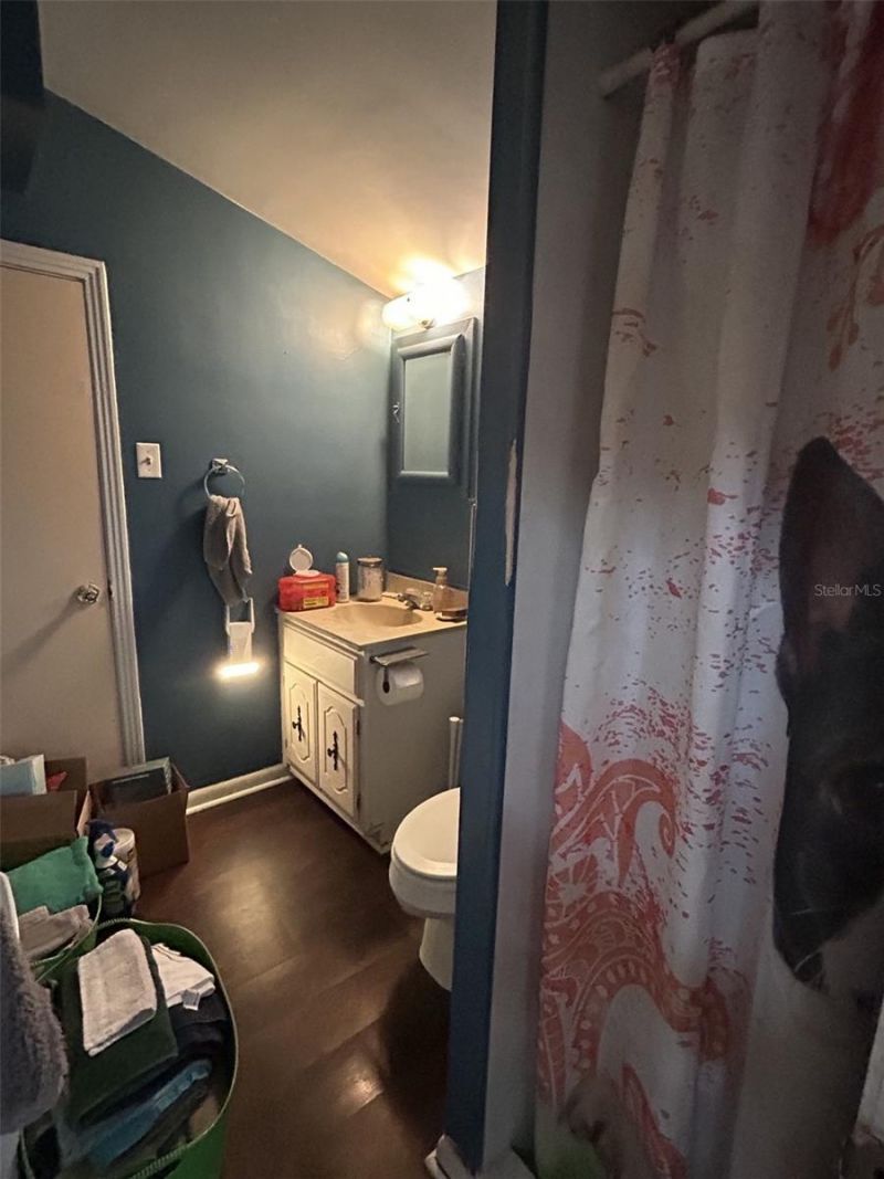 103 E Ward Avenue, Eustis, FL 32726 Photo