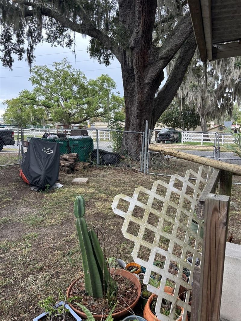 103 E Ward Avenue, Eustis, FL 32726 Photo